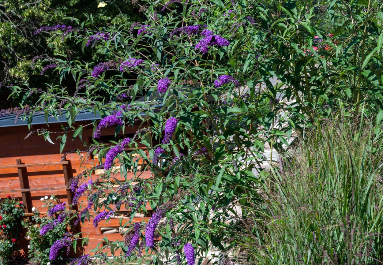 Villa in Vysoké nad Jizerou - KKH070 