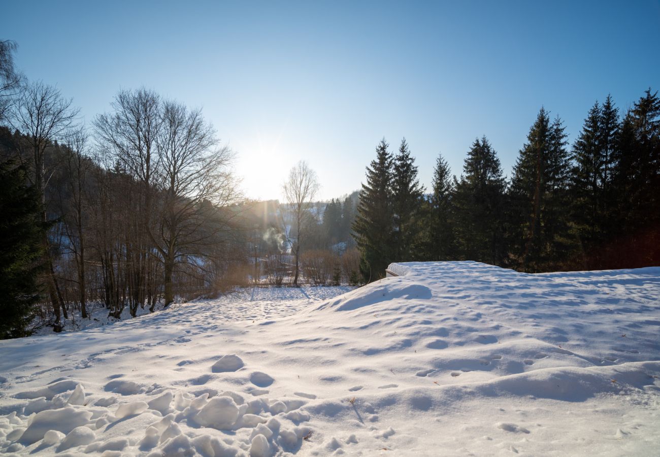 Villa in Vysoké nad Jizerou - KKH070 