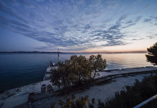 Apartment in Zadar - Villa Leda A1 Apartment in Zadar - Villa Leda A1
