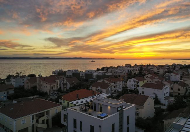 Apartment in Zadar - Adria Concept boutique apartments-A6 Golden Sun Apartment in Zadar - Adria Concept boutique apartments-A6 Golden Sun