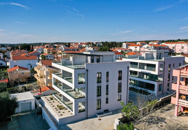 Apartment in Zadar - Adria Concept boutique apartments-A6 Golden Sun Apartment in Zadar - Adria Concept boutique apartments-A6 Golden Sun