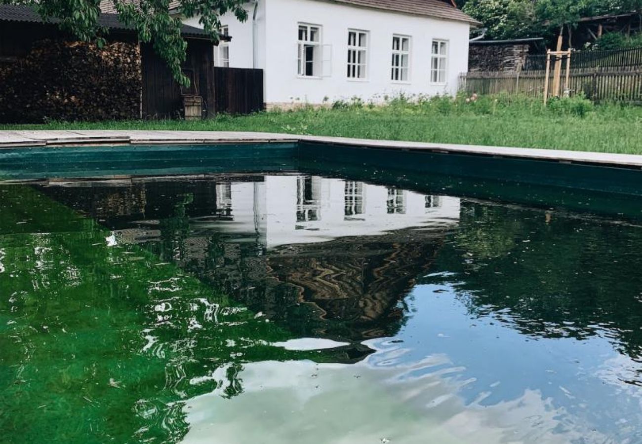 Villa in Javorek - VJK050