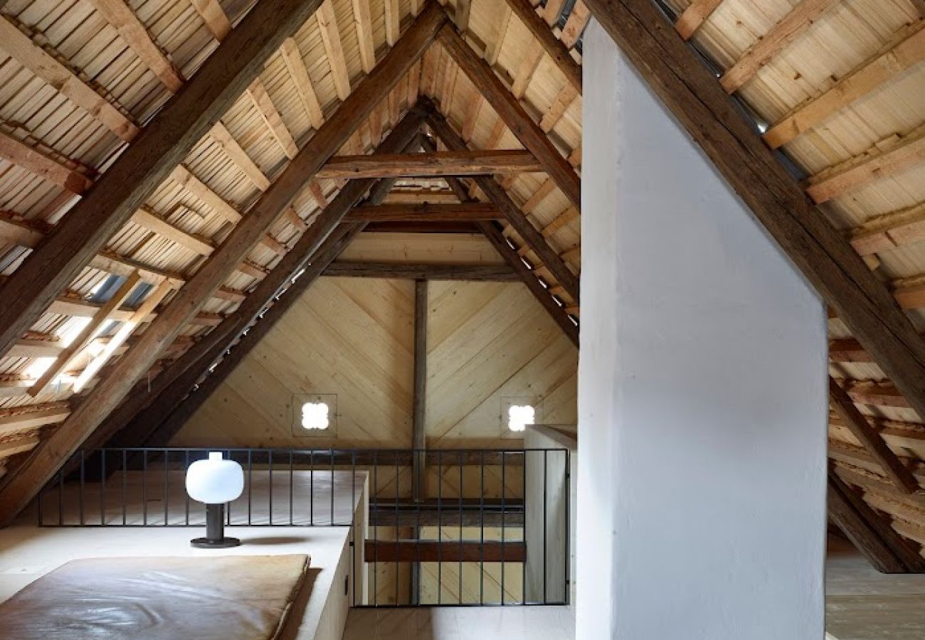 Villa in Javorek - VJK050