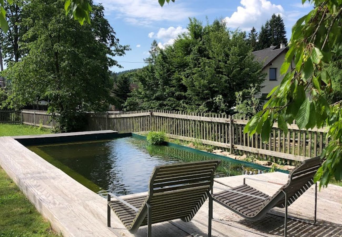 Villa in Javorek - VJK050