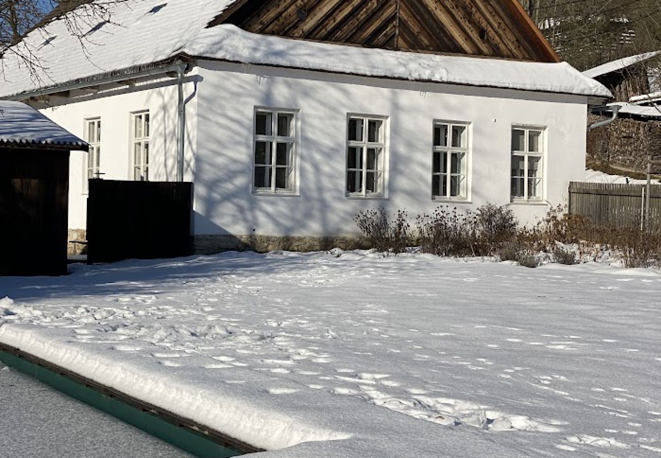 Villa in Javorek - VJK050