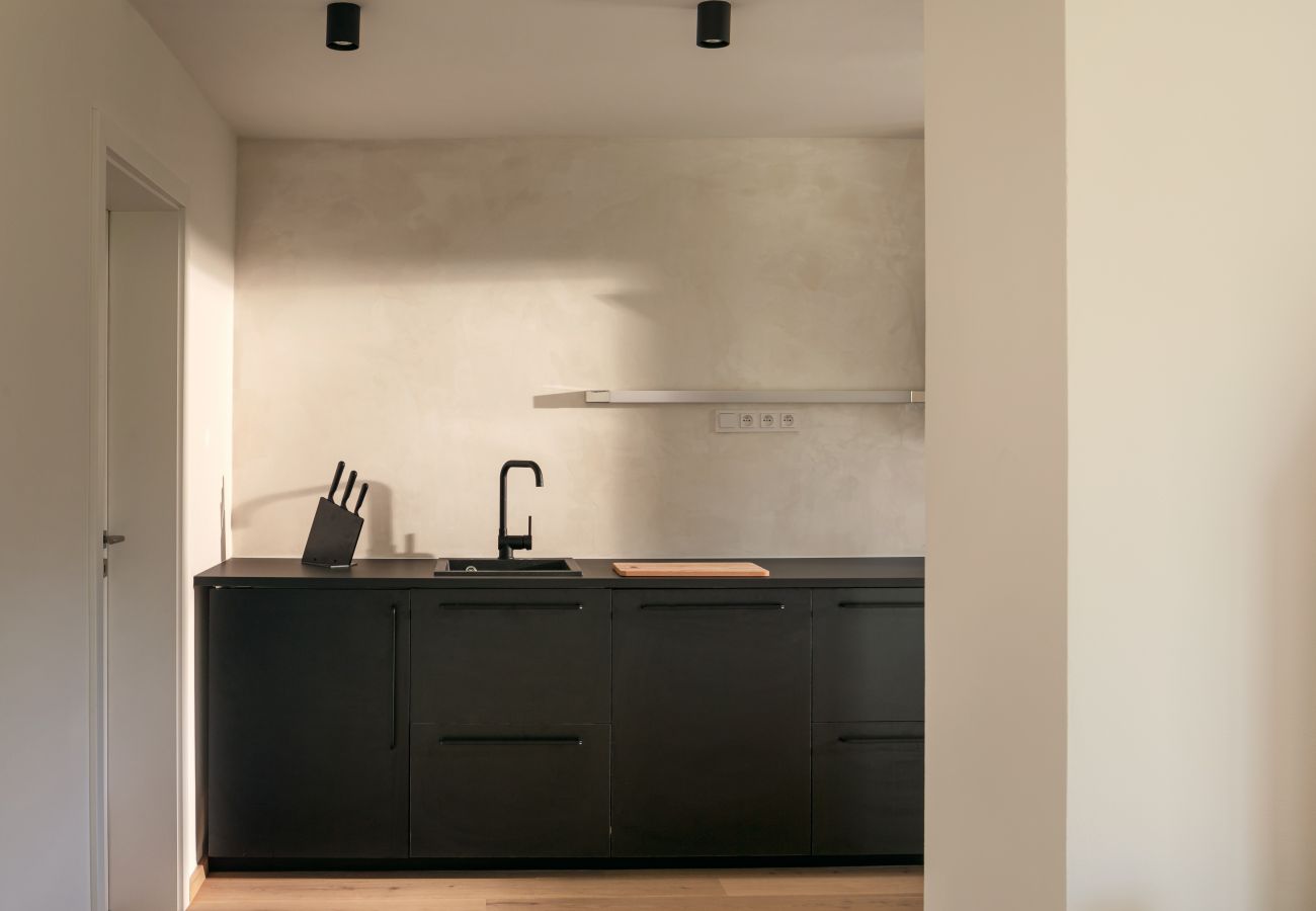 Villa in Hradištko - SHR081