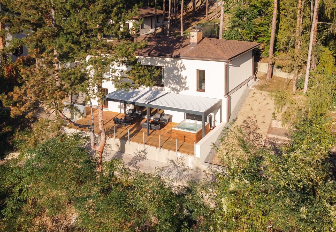 Villa in Hradištko - SHR081