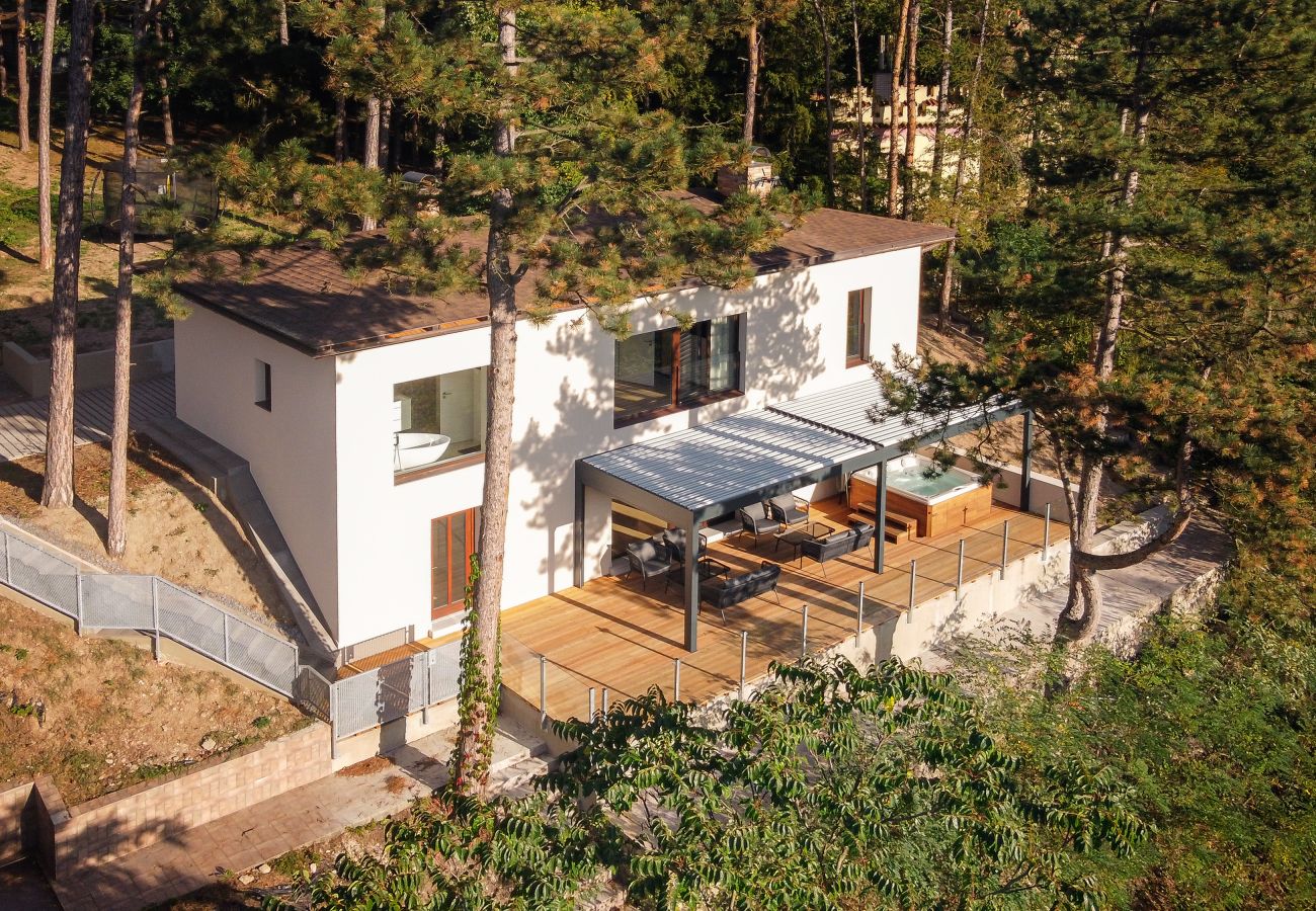 Villa in Hradištko - SHR081