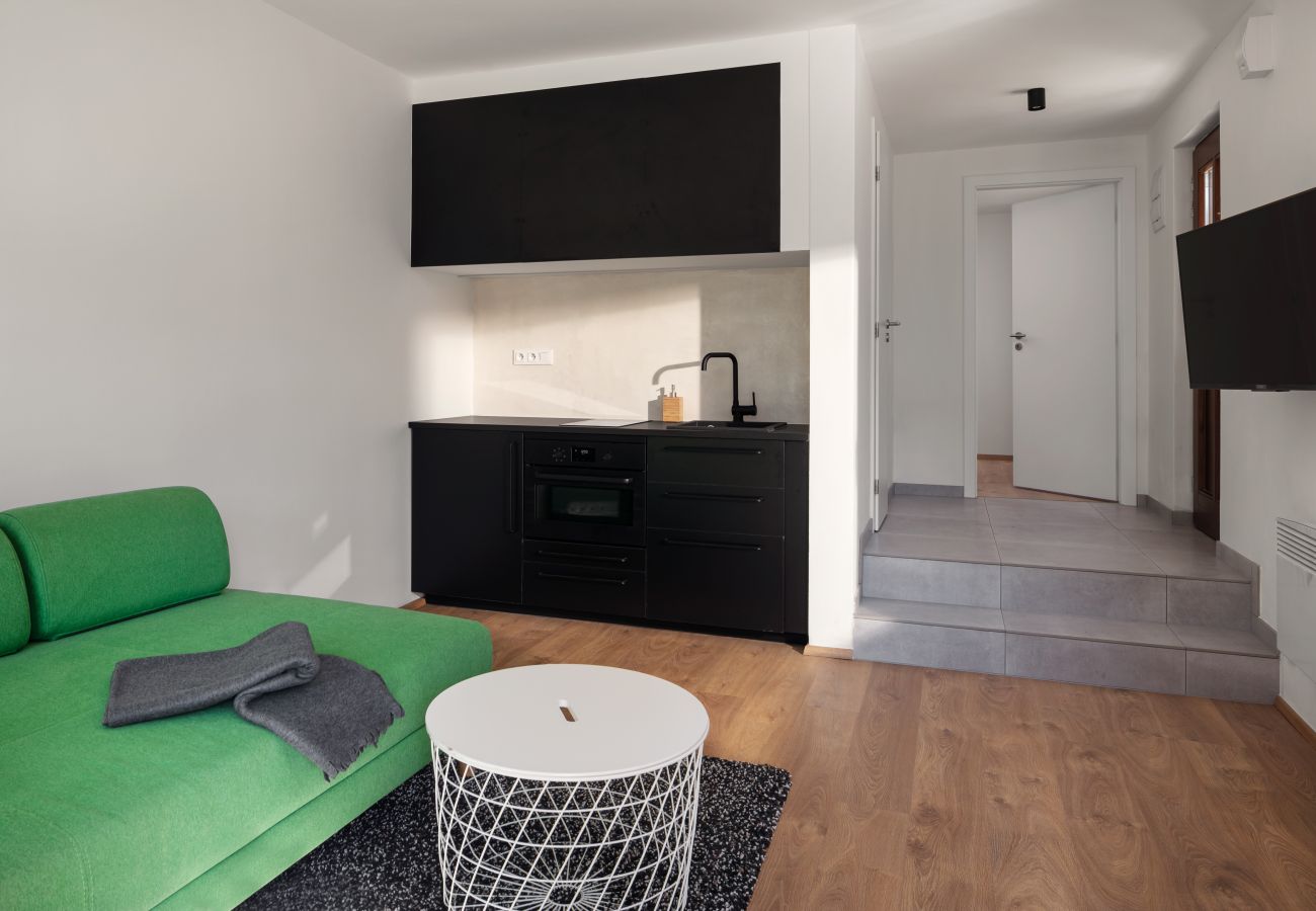 Villa in Hradištko - SHR081