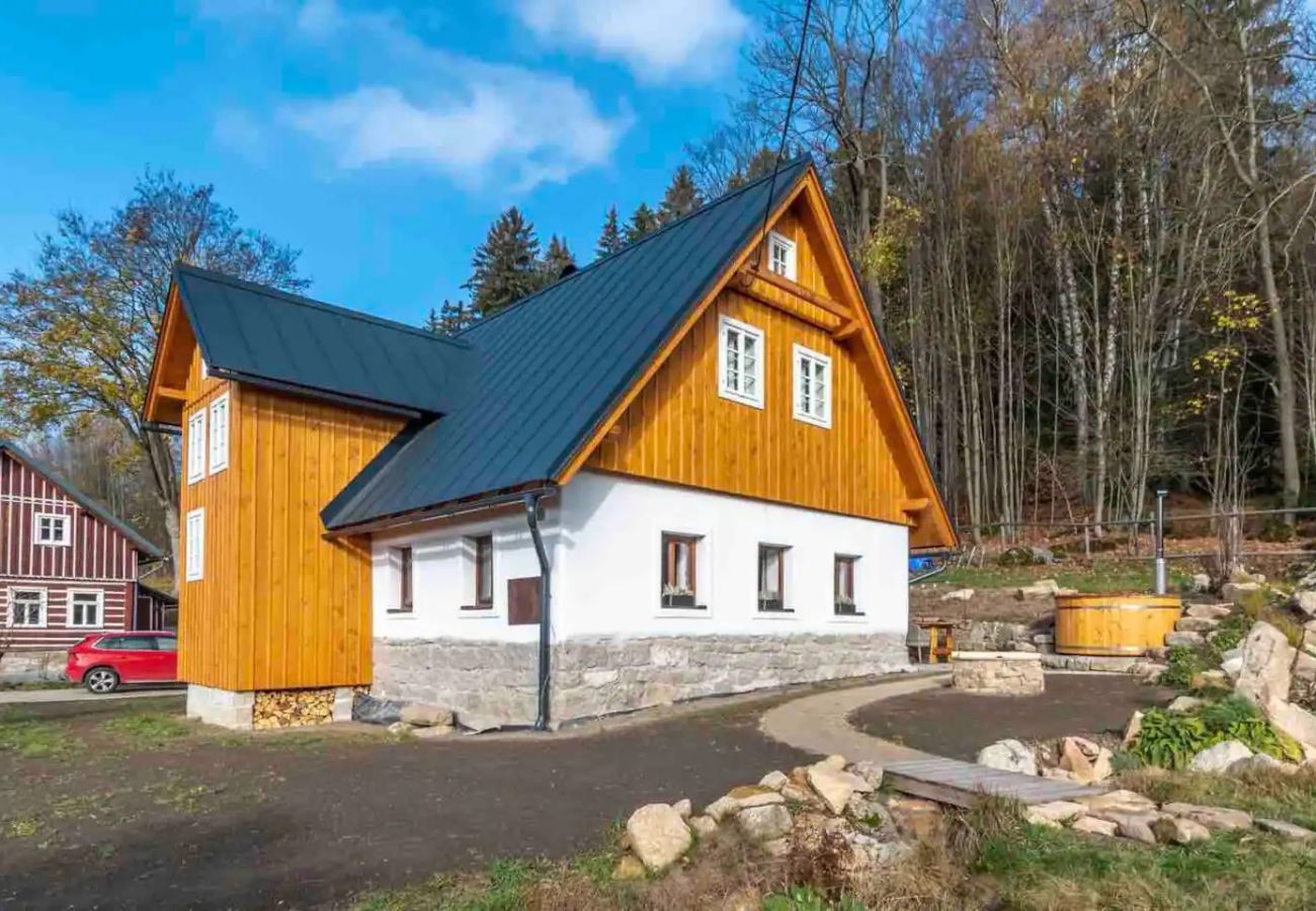 Villa in Lucany nad Nisou - LLA560