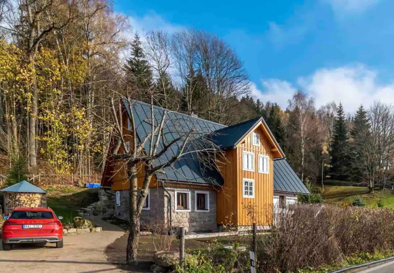 Villa in Lucany nad Nisou - LLA560