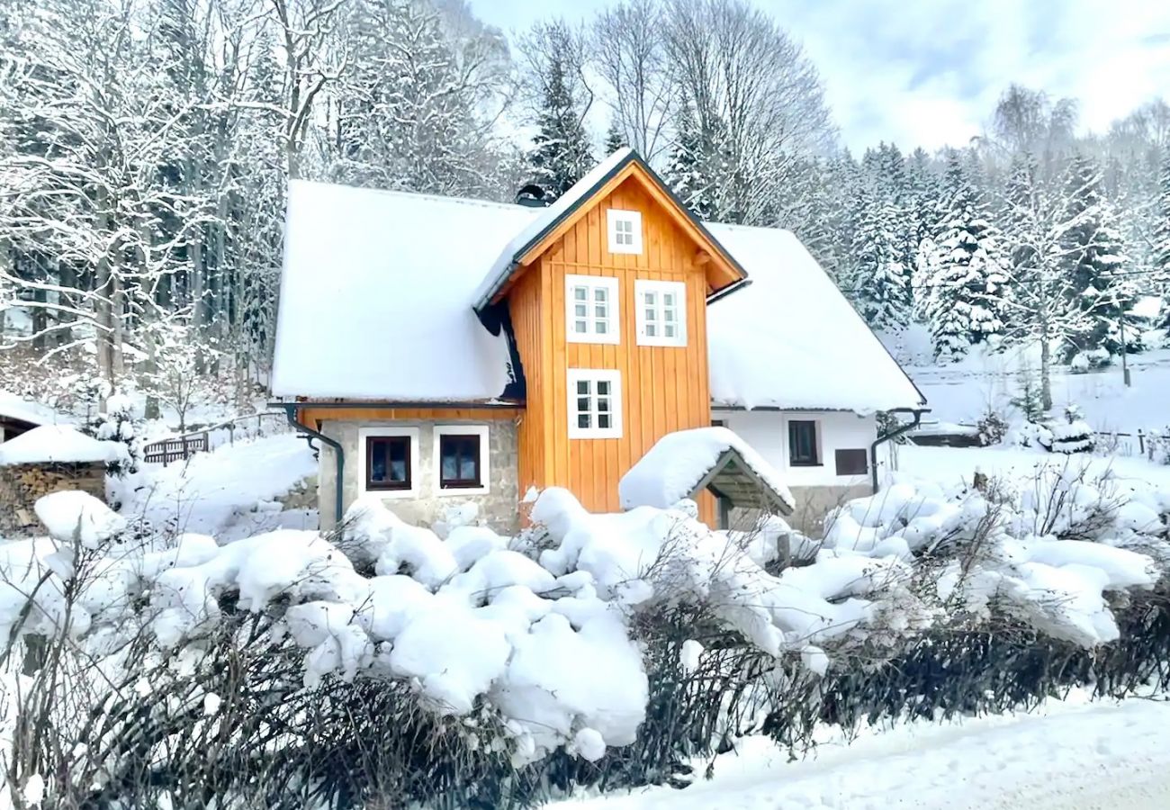 Villa in Lucany nad Nisou - LLA560