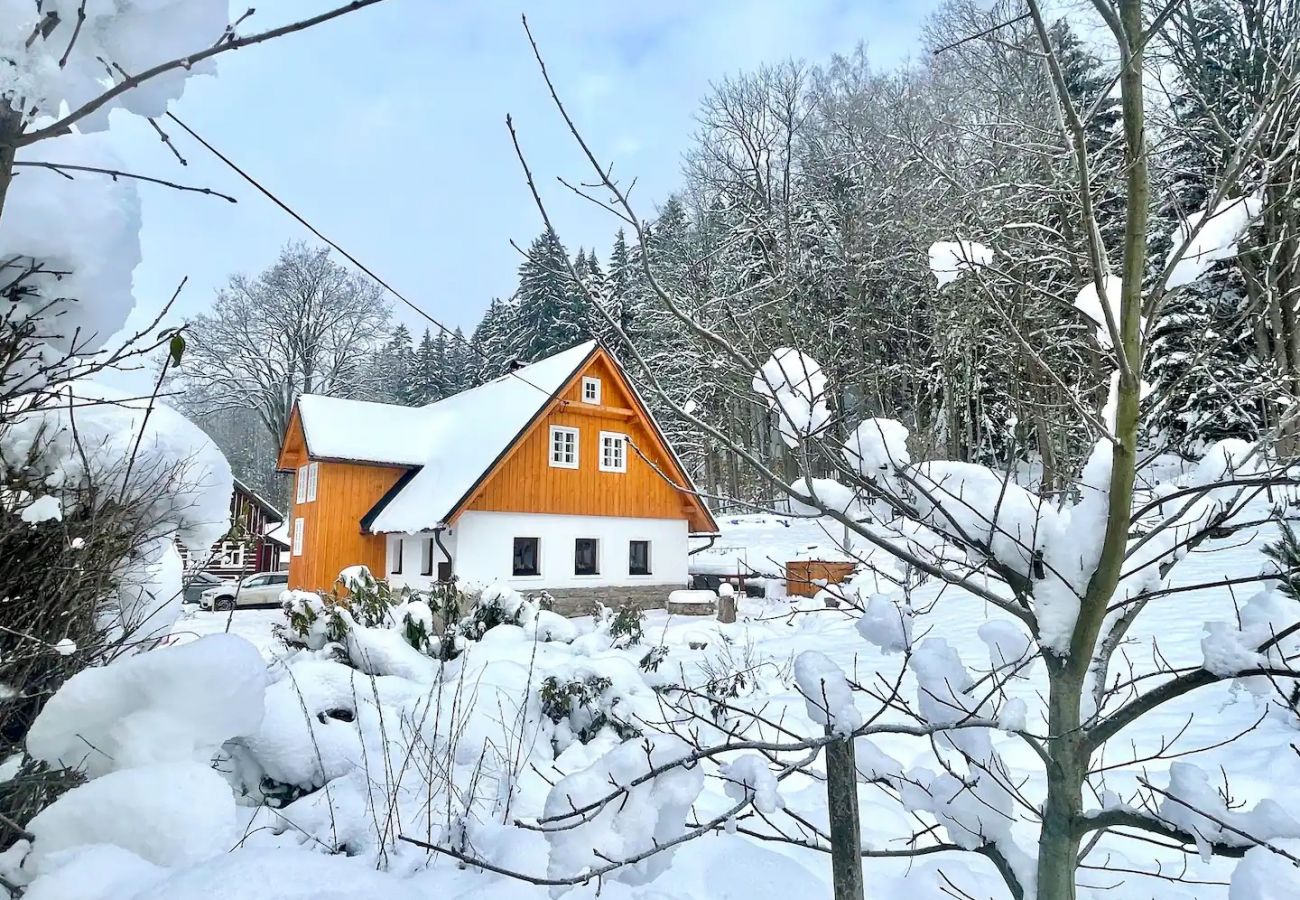 Villa in Lucany nad Nisou - LLA560