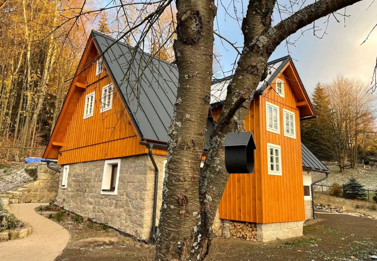 Villa in Lucany nad Nisou - LLA560