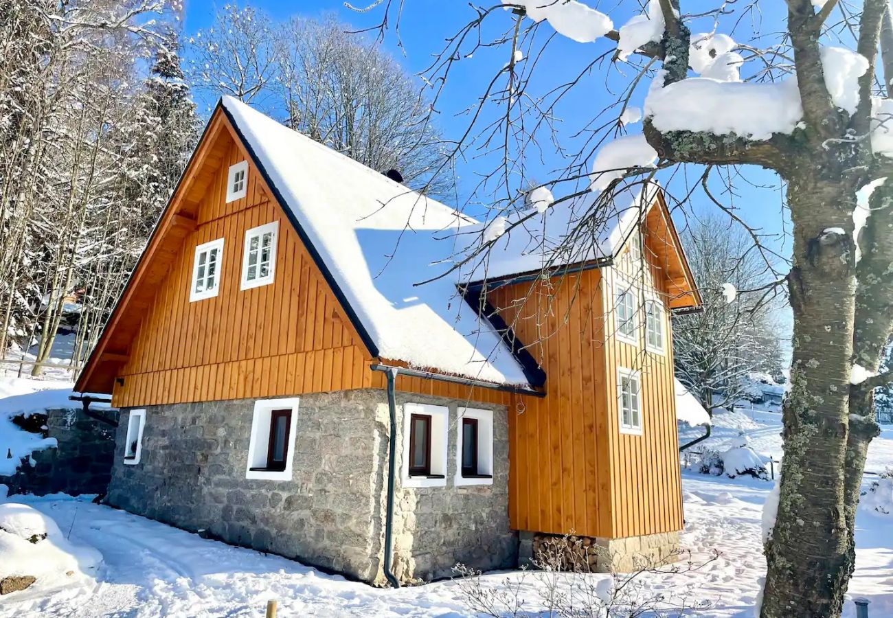 Villa in Lucany nad Nisou - LLA560