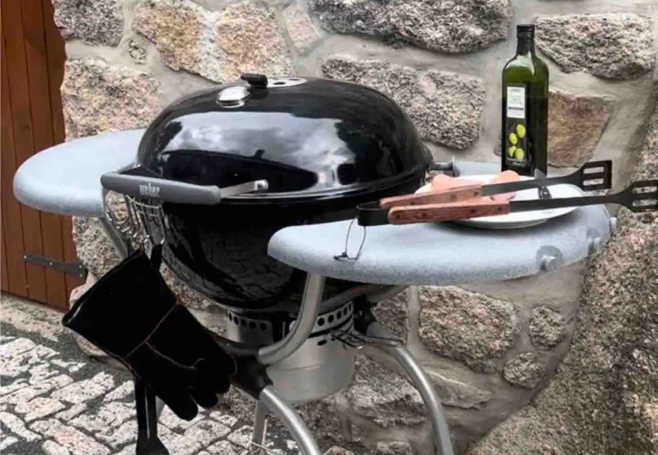 Villa in Lucany nad Nisou - LLA560