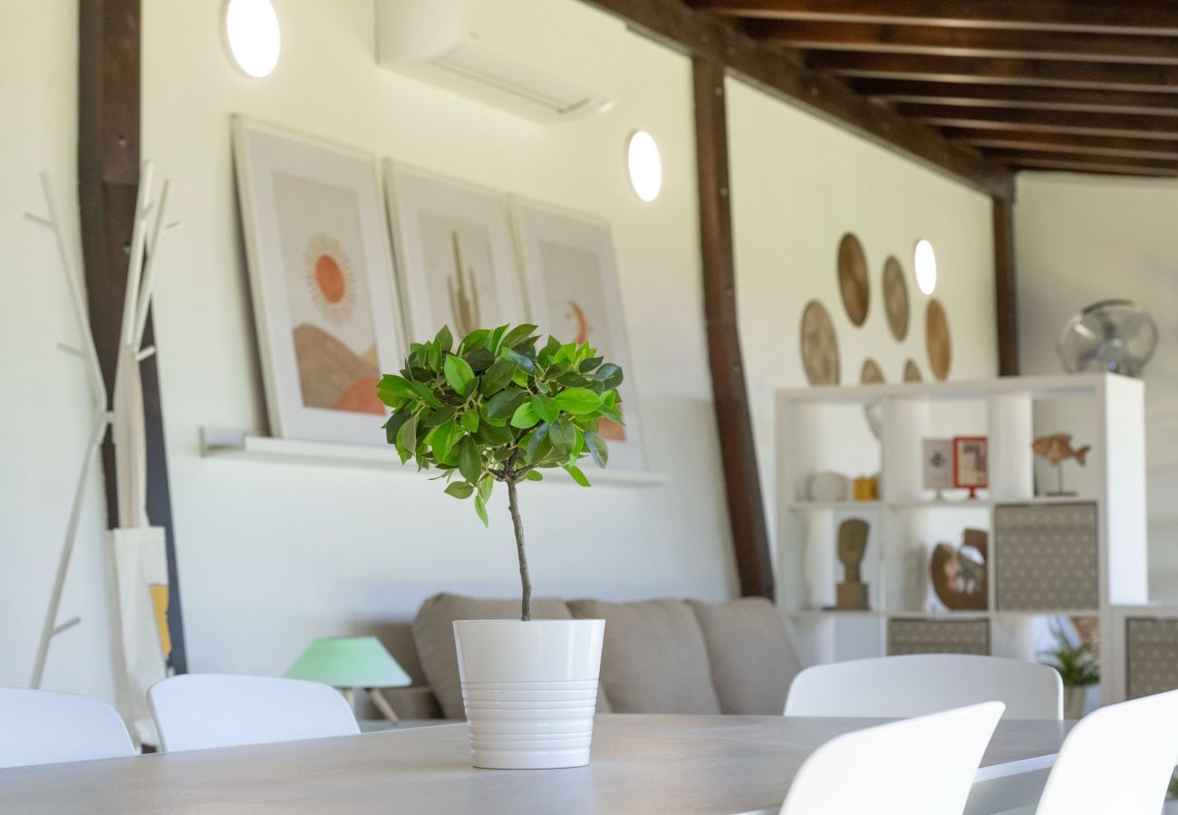 Studio in Santa Cruz de Tenerife - modern loft recently renovated In Santa Cruz de Tenerife 02