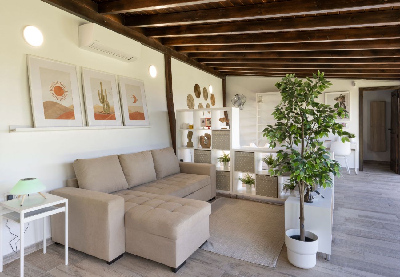 Studio in Santa Cruz de Tenerife - modern loft recently renovated In Santa Cruz de Tenerife 02