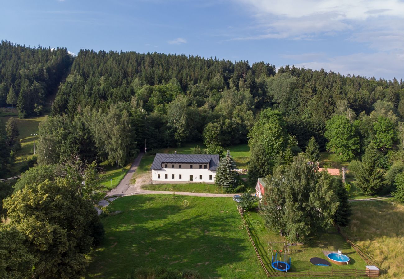 Villa in Desná - LDS021