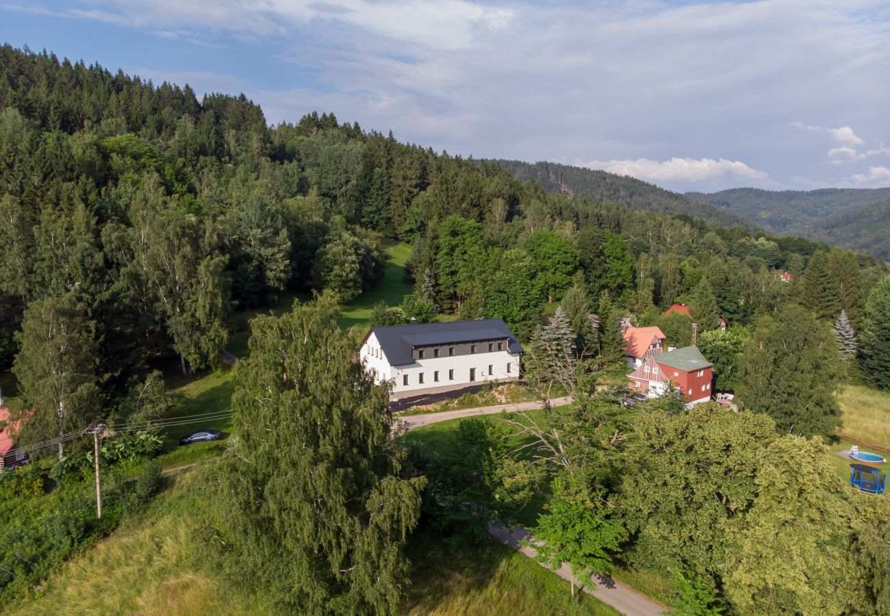 Villa in Desná - LDS021
