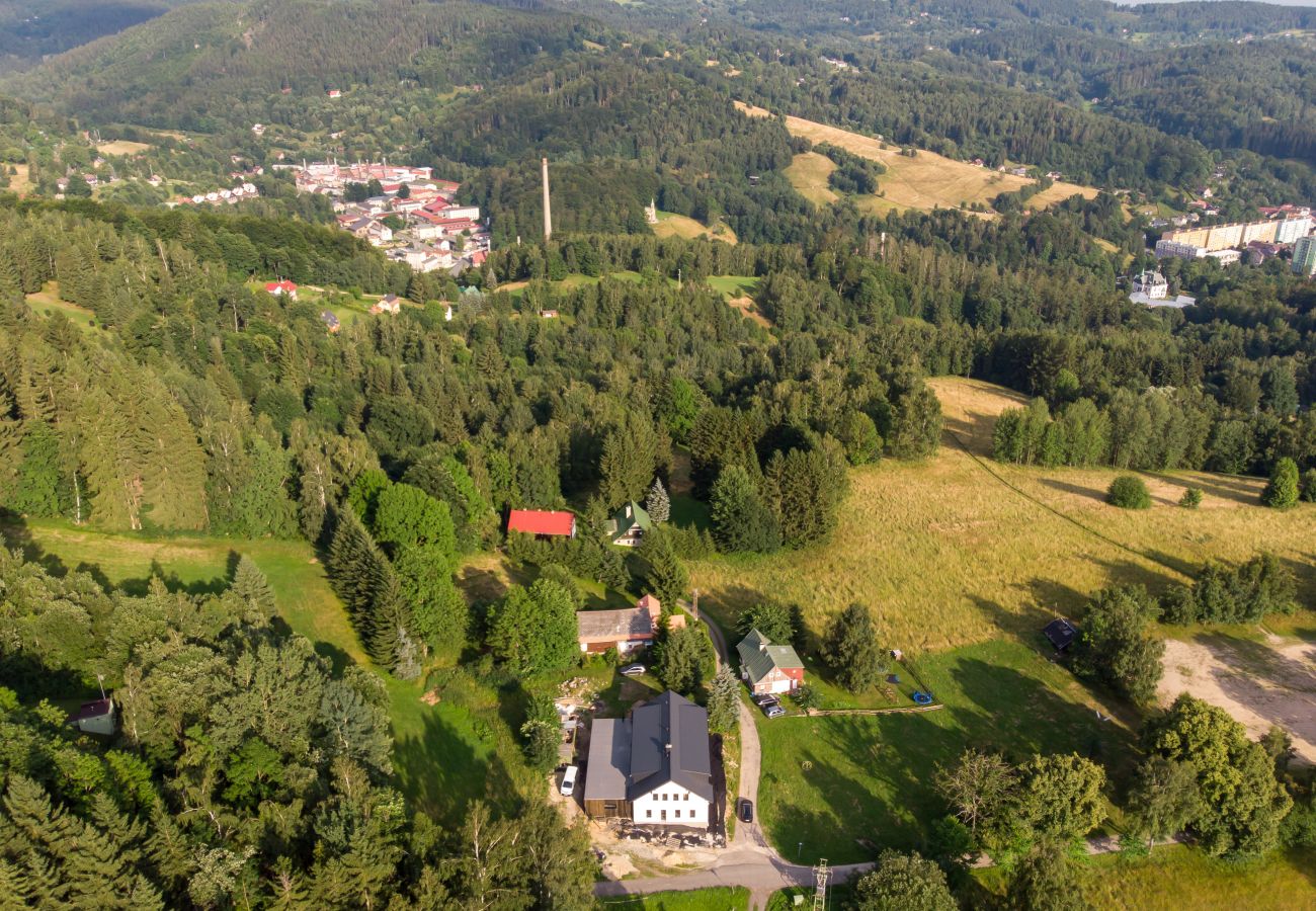 Villa in Desná - LDS021
