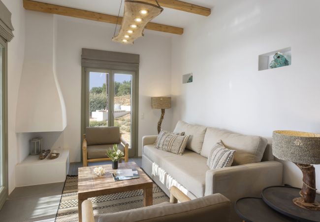 Villa in Antiparos - Traditional Villa Astra in Antiparos with Private Pool Villa in Antiparos - Traditional Villa Astra in Antiparos with Private Pool