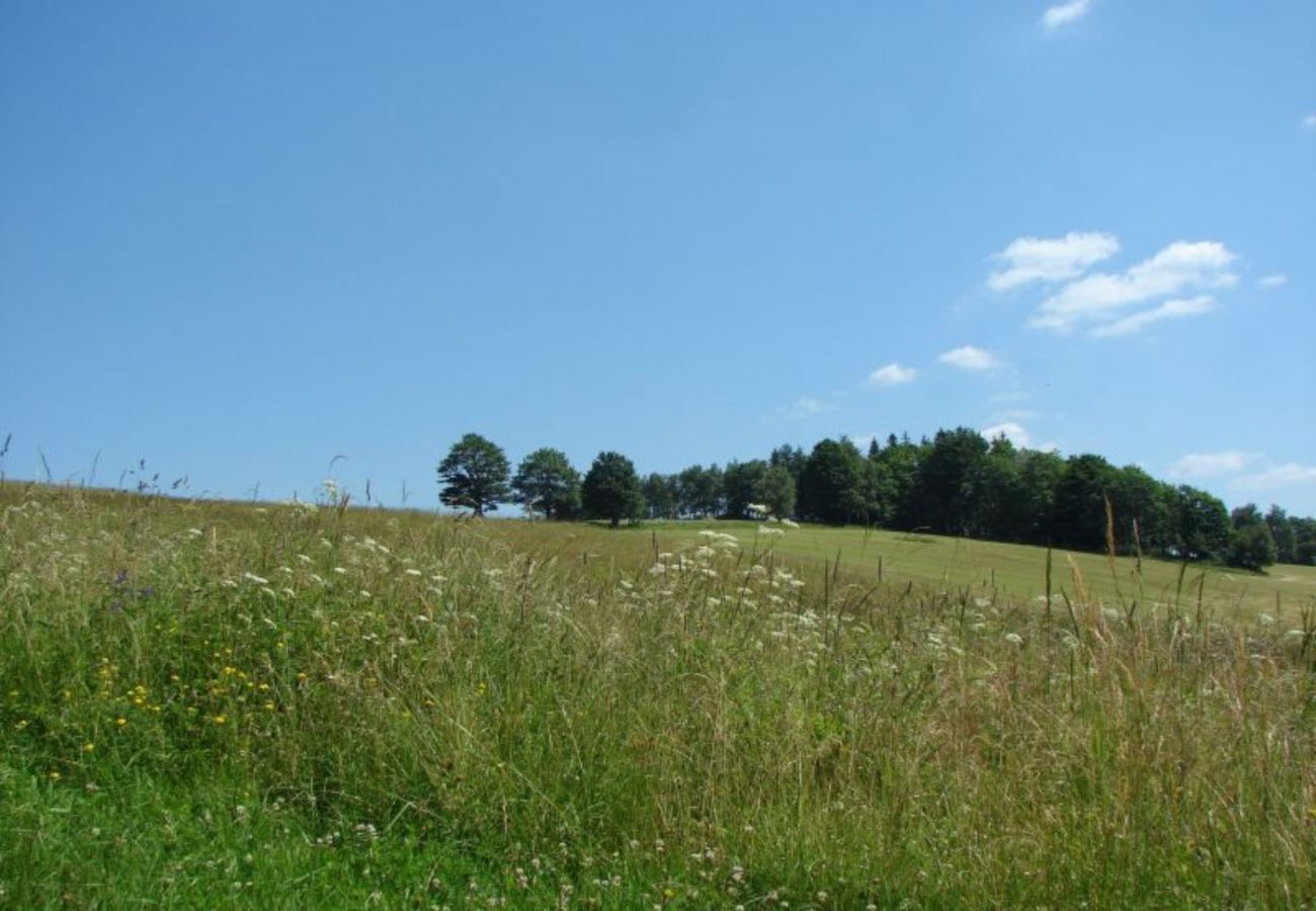 Villa in Belá pod Pradedem - MFK080