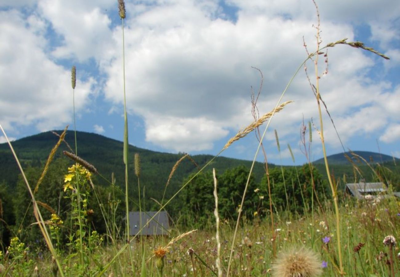 Villa in Belá pod Pradedem - MFK080