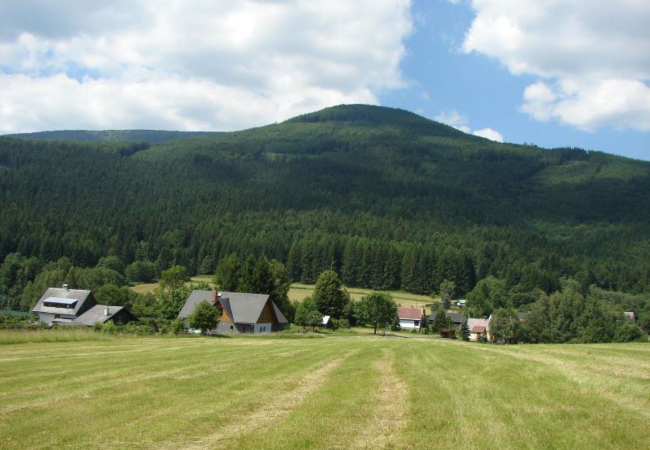 Villa in Belá pod Pradedem - MFK080