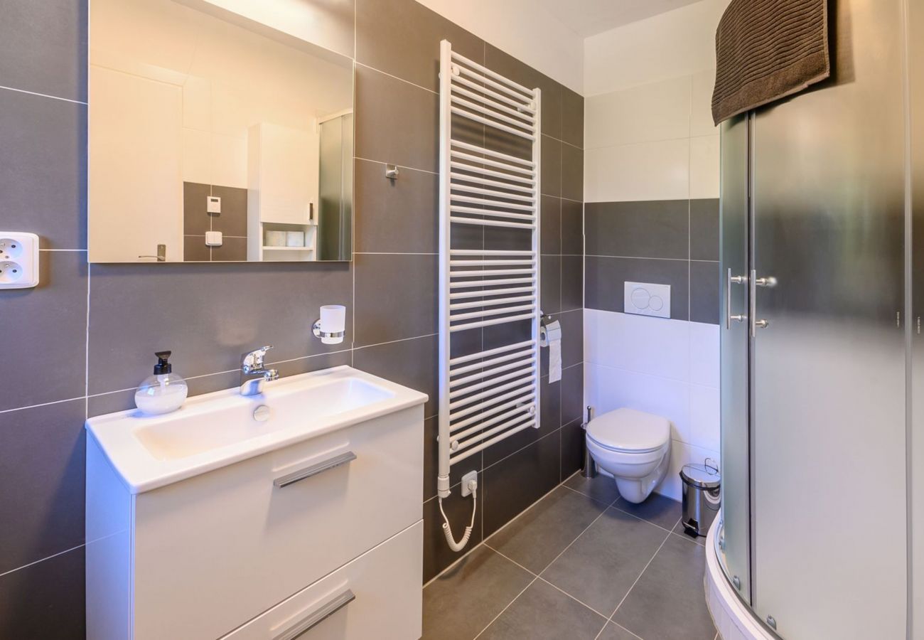 Villa in Bernartice - Bernartice KKH045