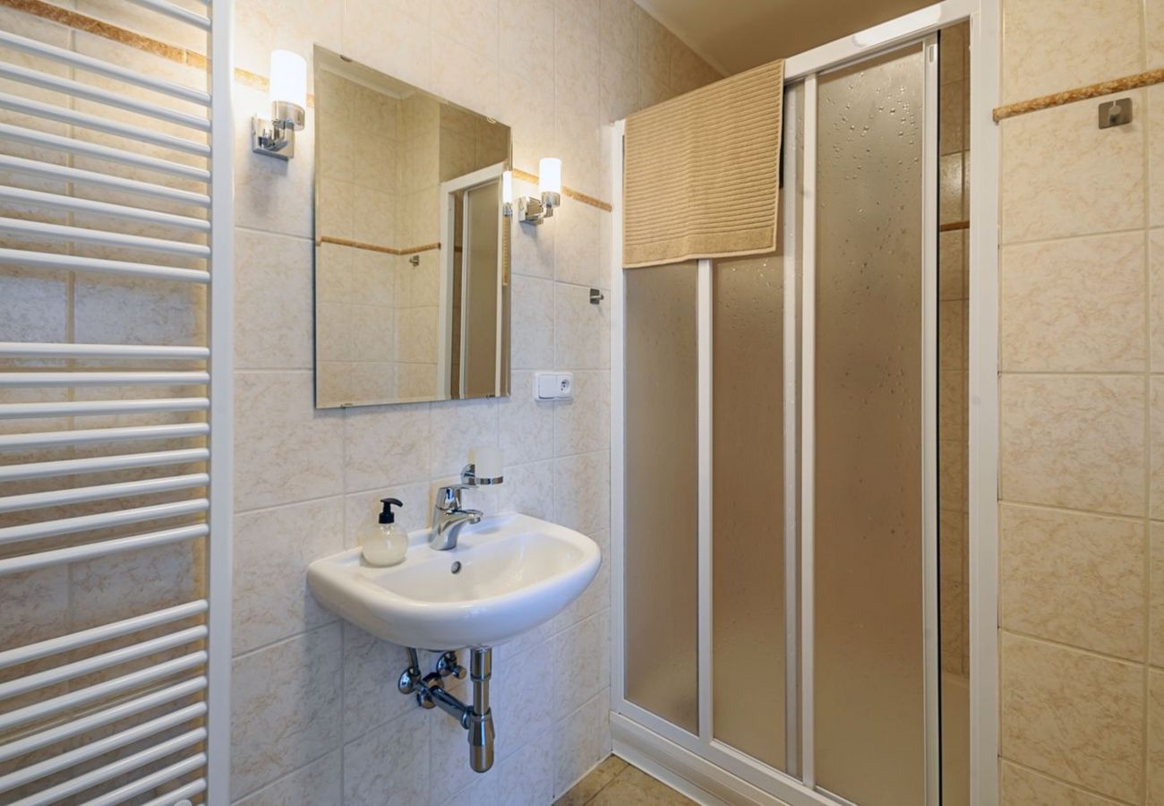 Villa in Bernartice - Bernartice KKH045