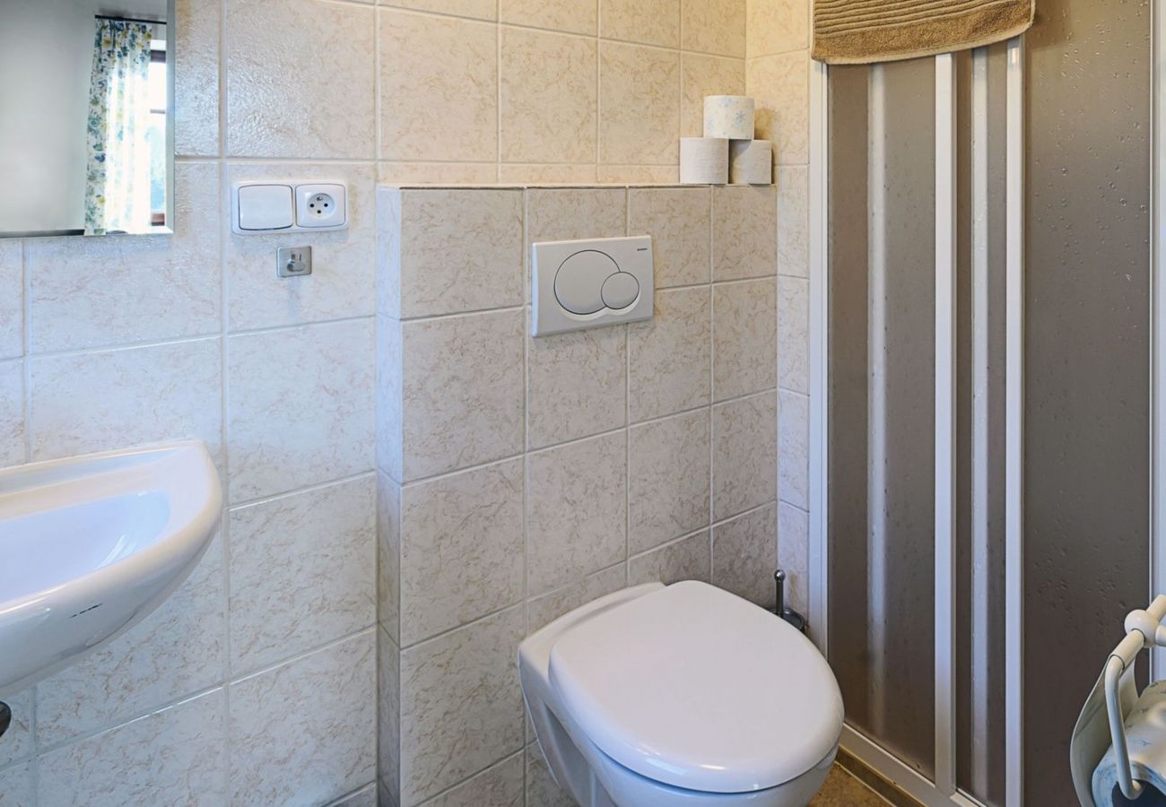 Villa in Bernartice - Bernartice KKH045