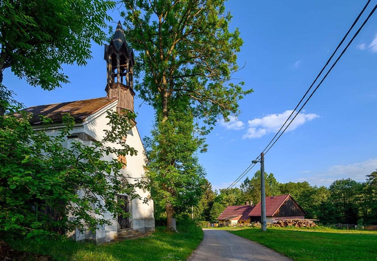 Villa in Bernartice - Bernartice KKH045