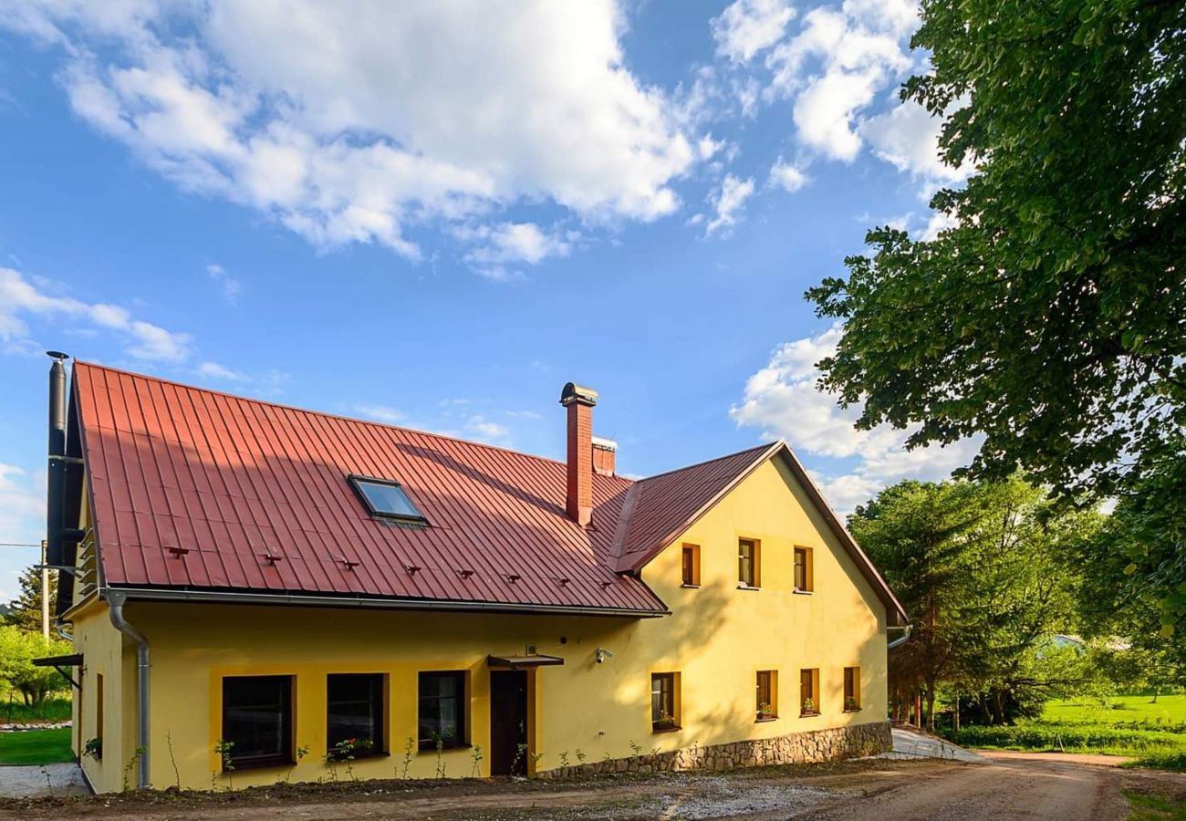 Villa in Bernartice - Bernartice KKH045