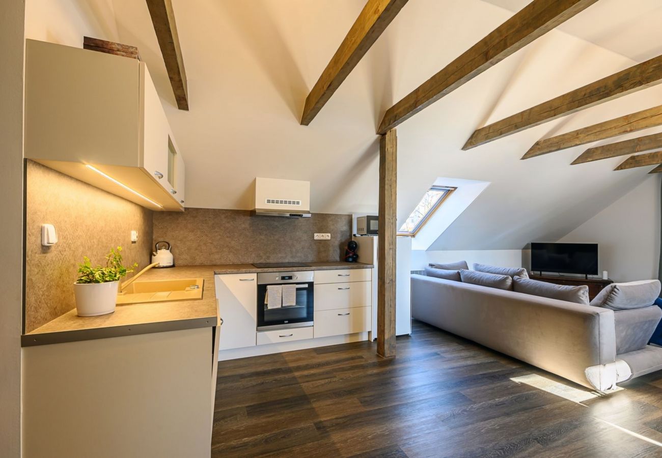 Villa in Bernartice - Bernartice KKH045