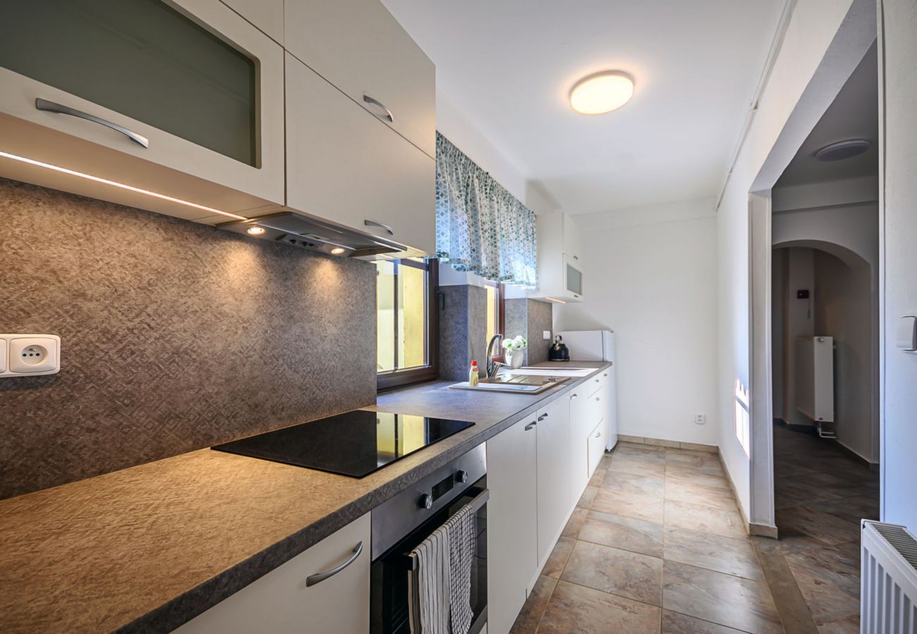 Villa in Bernartice - Bernartice KKH045