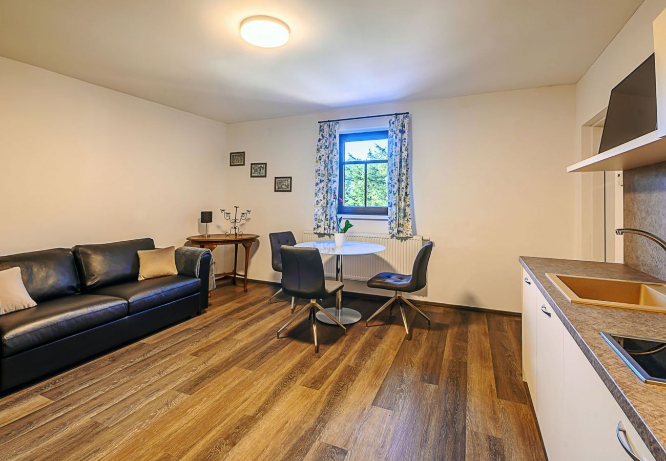 Villa in Bernartice - Bernartice KKH045