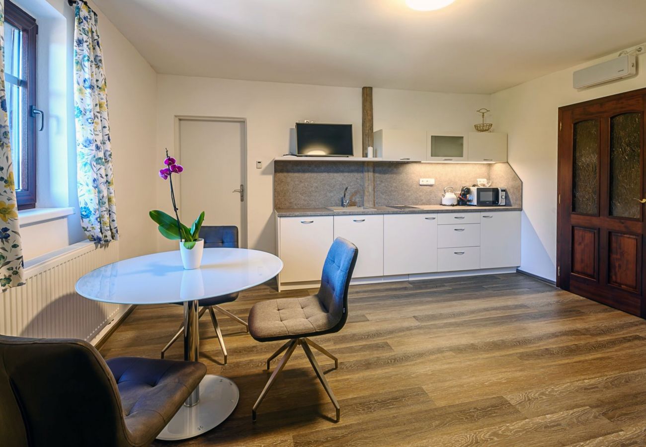 Villa in Bernartice - Bernartice KKH045