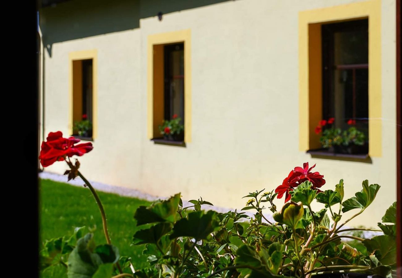 Villa in Bernartice - Bernartice KKH045