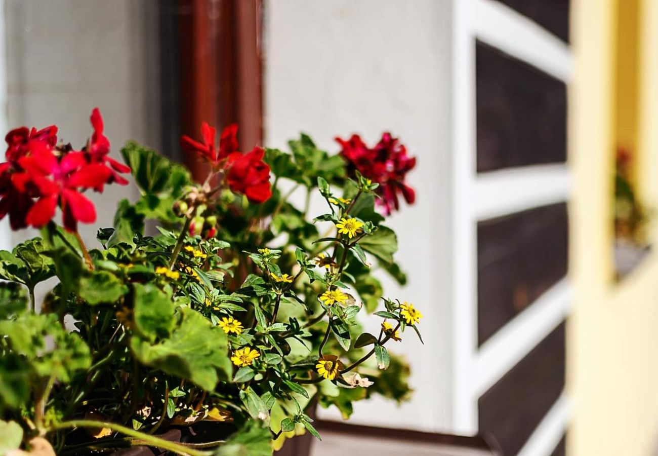 Villa in Bernartice - Bernartice KKH045