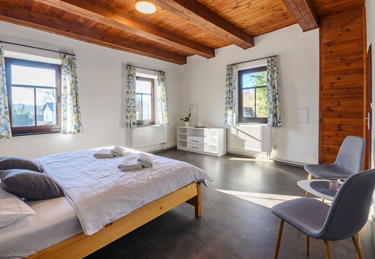 Villa in Bernartice - Bernartice KKH045