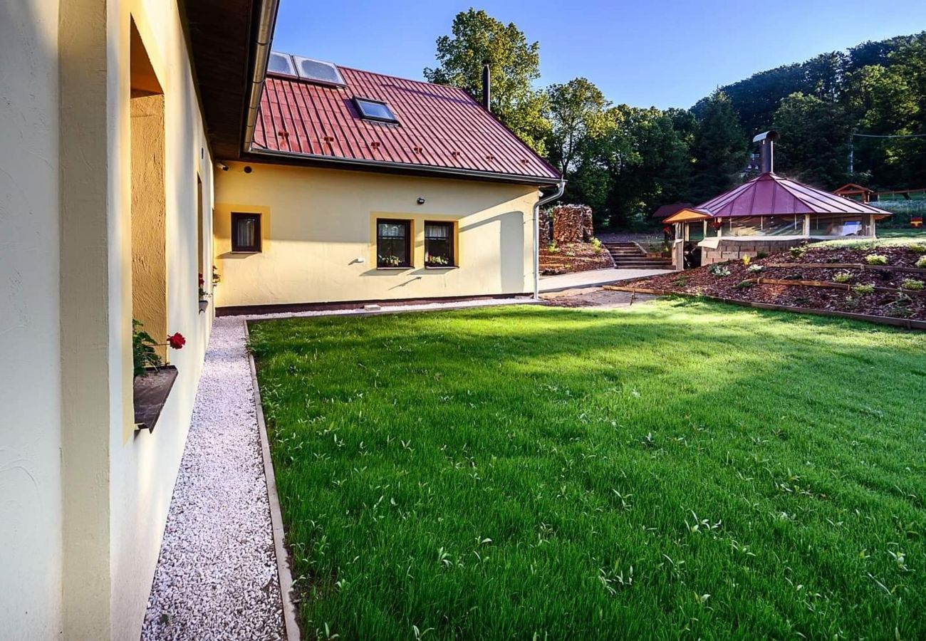 Villa in Bernartice - Bernartice KKH045