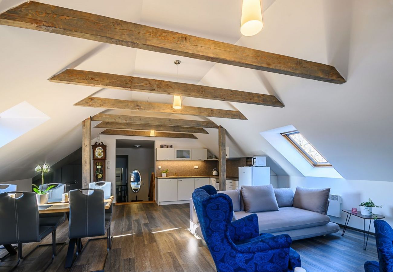 Villa in Bernartice - Bernartice KKH045