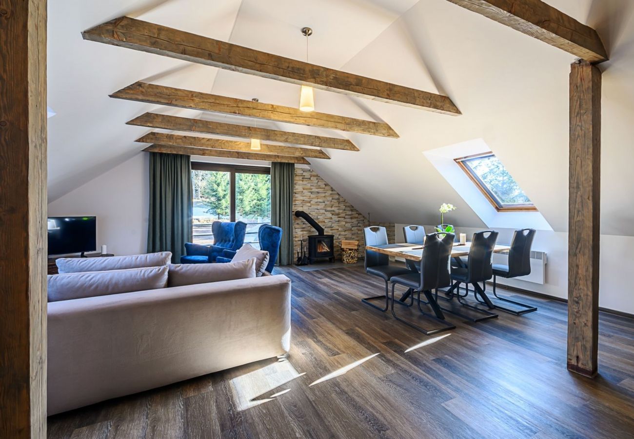 Villa in Bernartice - Bernartice KKH045