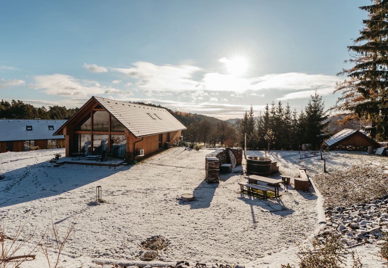 Villa in Býšovec - VPM019-SC3