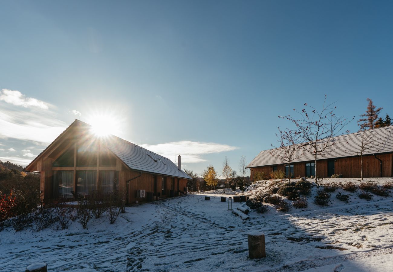 Villa in Býšovec - VPM019