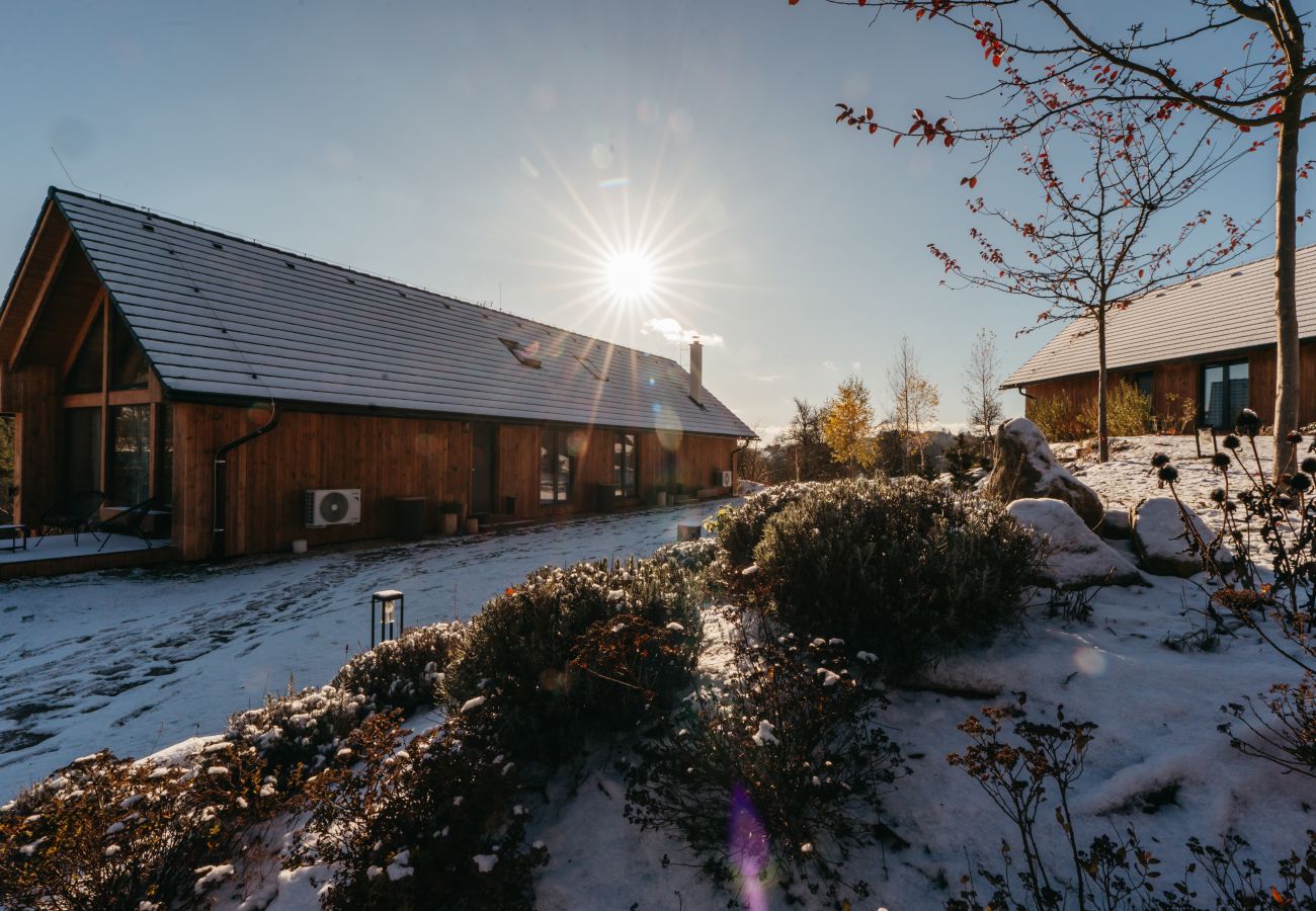 Villa in Býšovec - VPM019