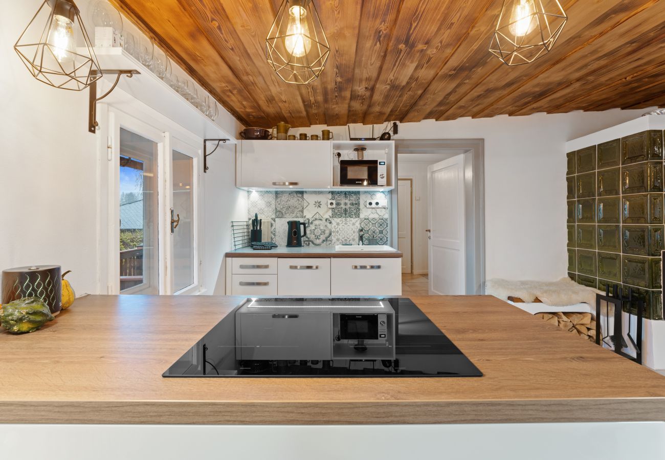 Villa in Dolní Branná - KDB026