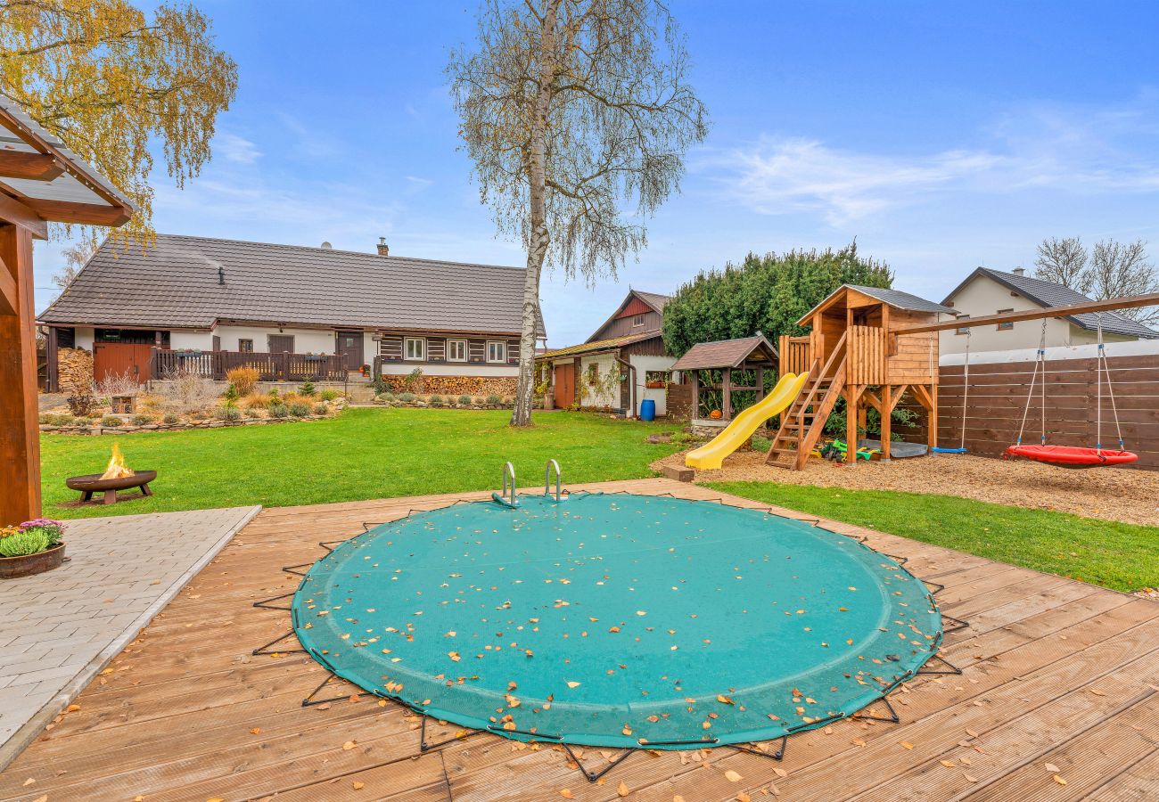 Villa in Dolní Branná - KDB026