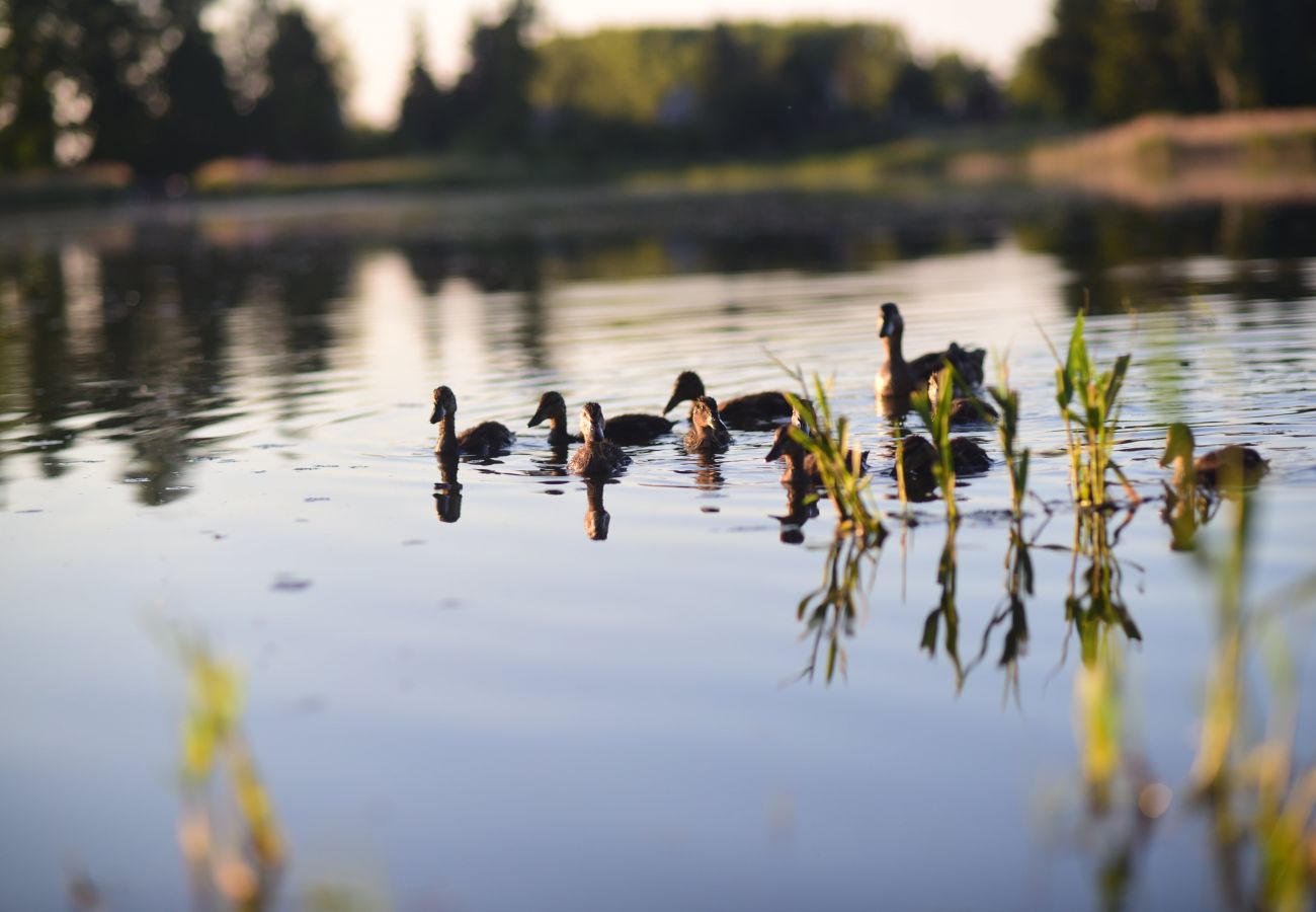 Villa in Cervené Janovice - SCKV023-KA